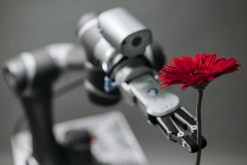 How Industrial Vision Cameras Solve Real-World Imaging Problems