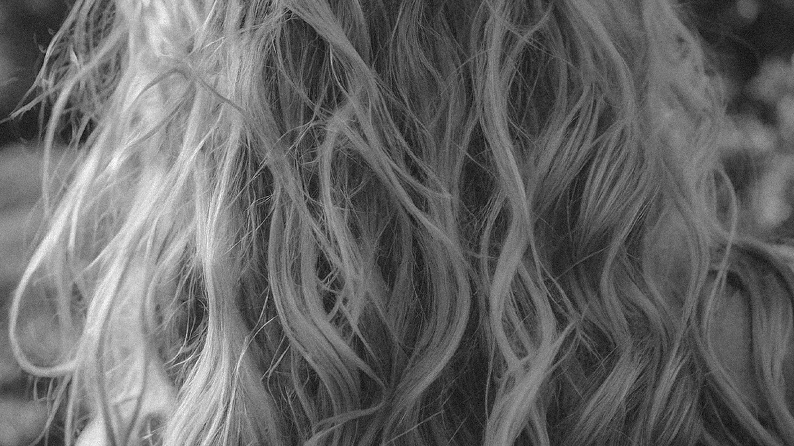 The Complete Guide to Anti-Humidity Products and Styling Techniques That Tame Frizz