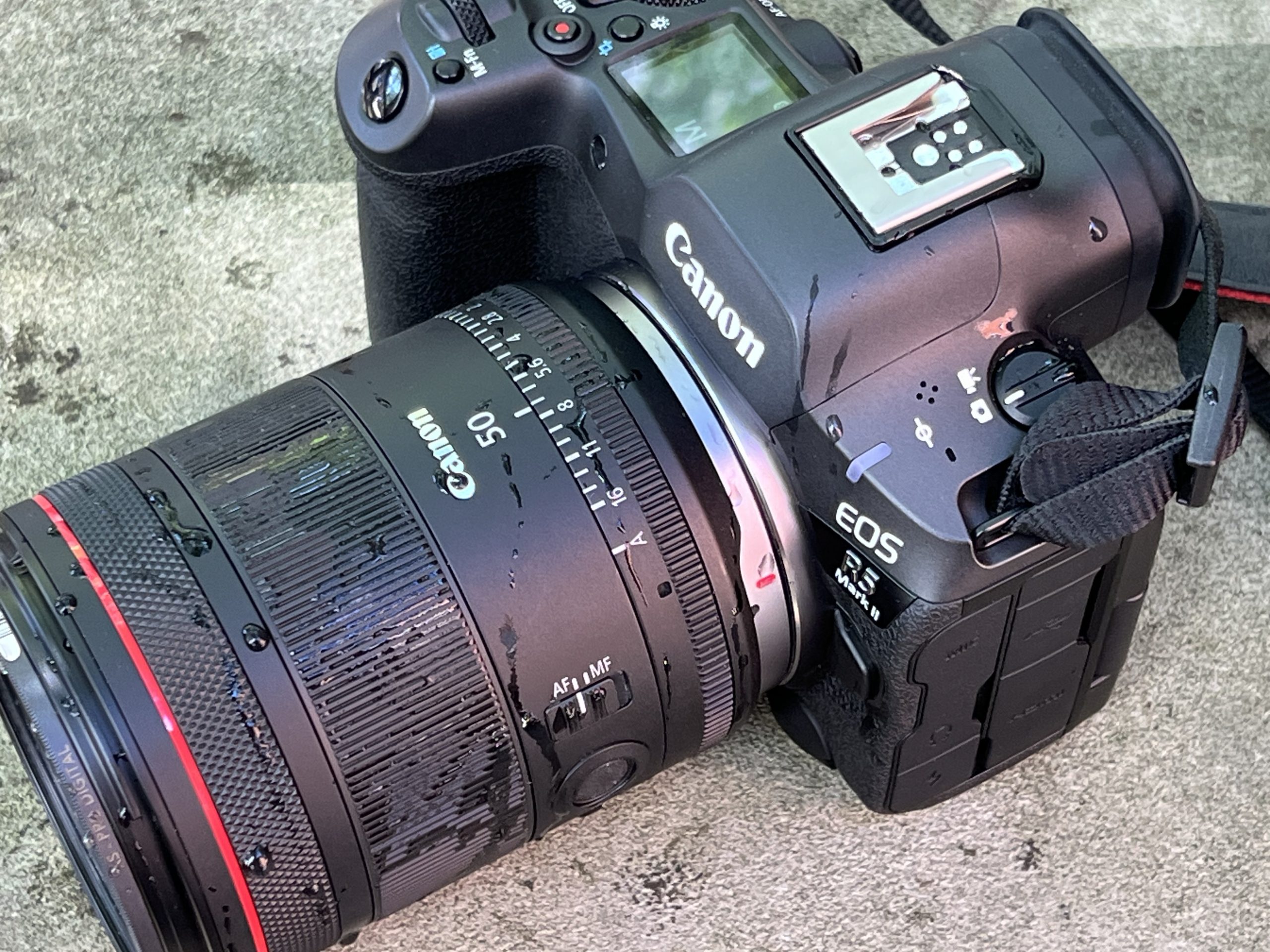 Why Every Photographer Needs Camera Insurance Before Disaster Strikes