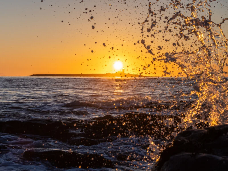 Master 9 Camera Settings to Break Free From Auto Mode