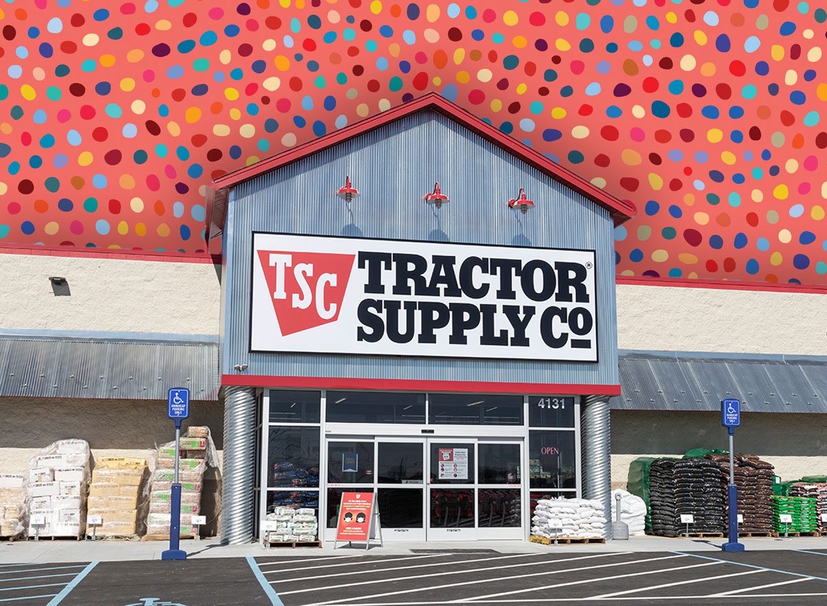 Aldi vs Costco vs Harbor Freight: The Best Budget Home Upgrade Finds