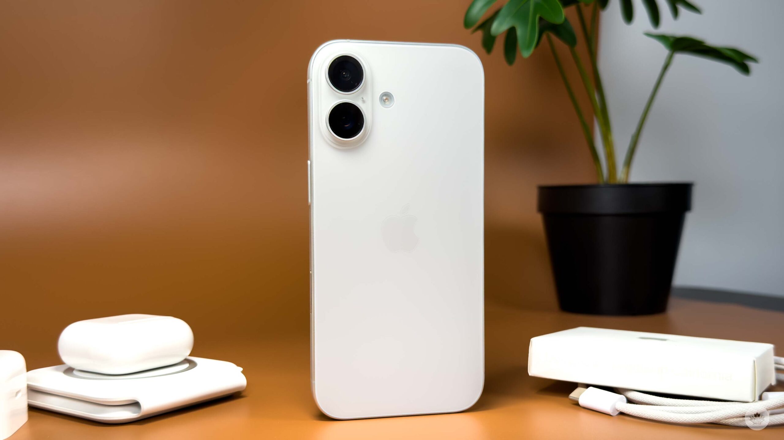 iPhone 18 Delay and Split Release: What It Means for You