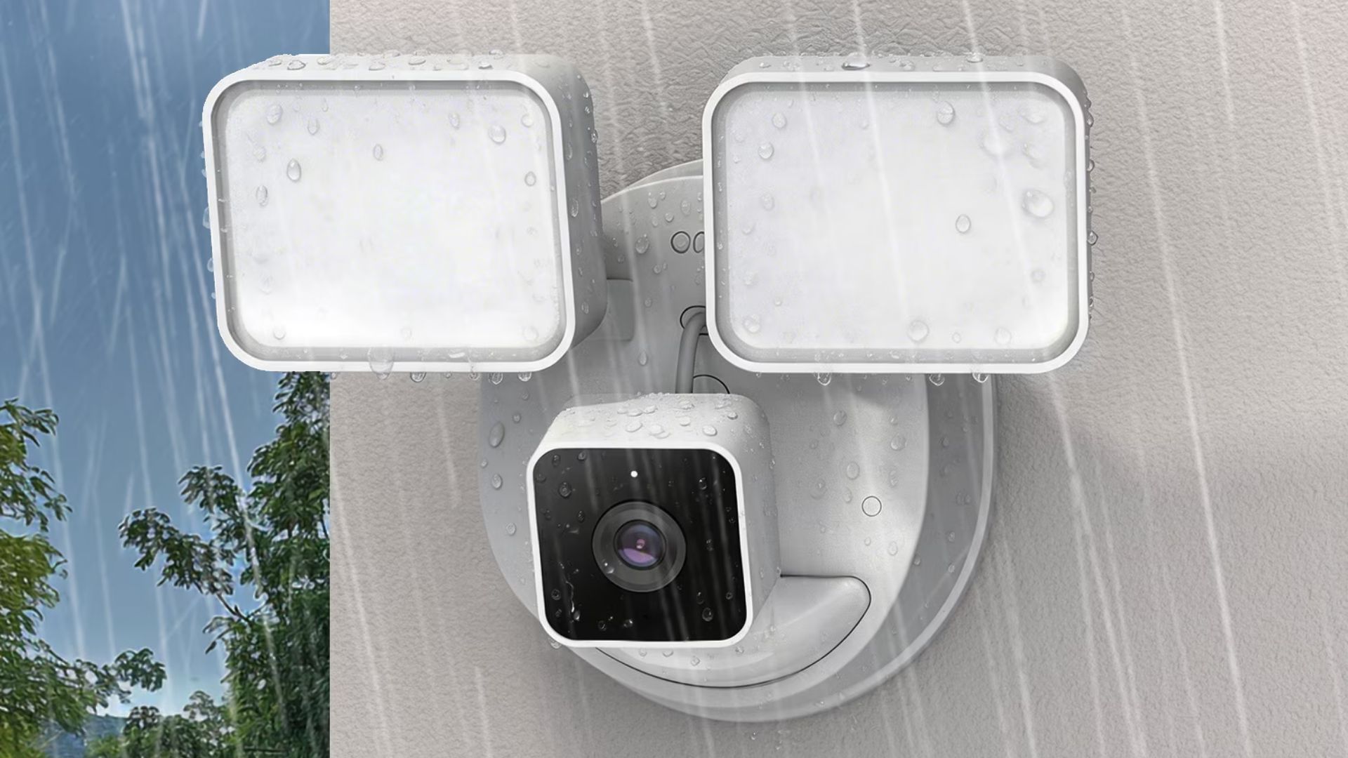 Blink Wired 2K Doorbell vs Premium and Budget Rivals