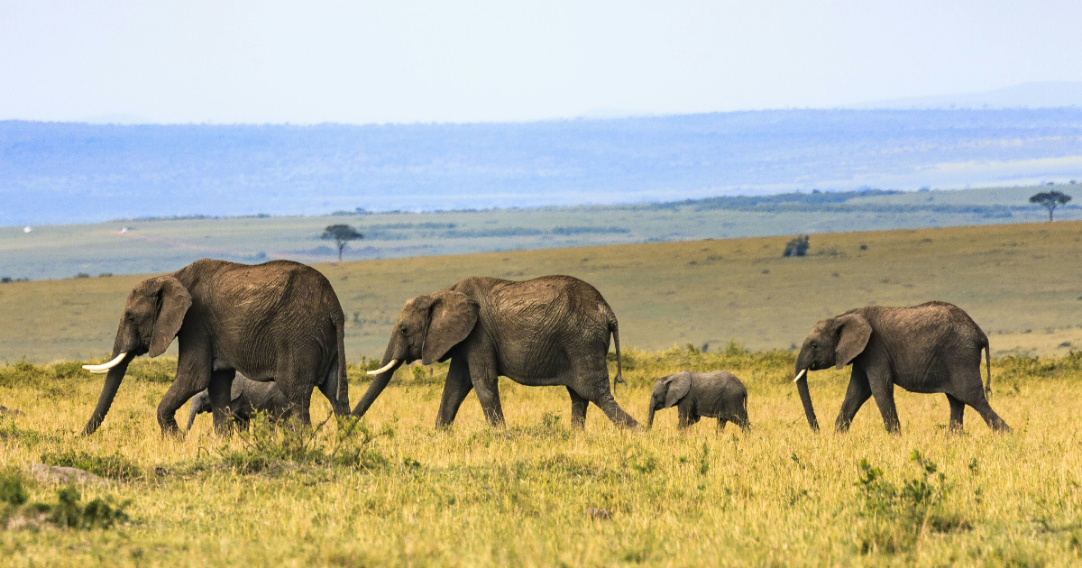 PostgreSQL Is Becoming Your Data Hub—Not Just Your Database