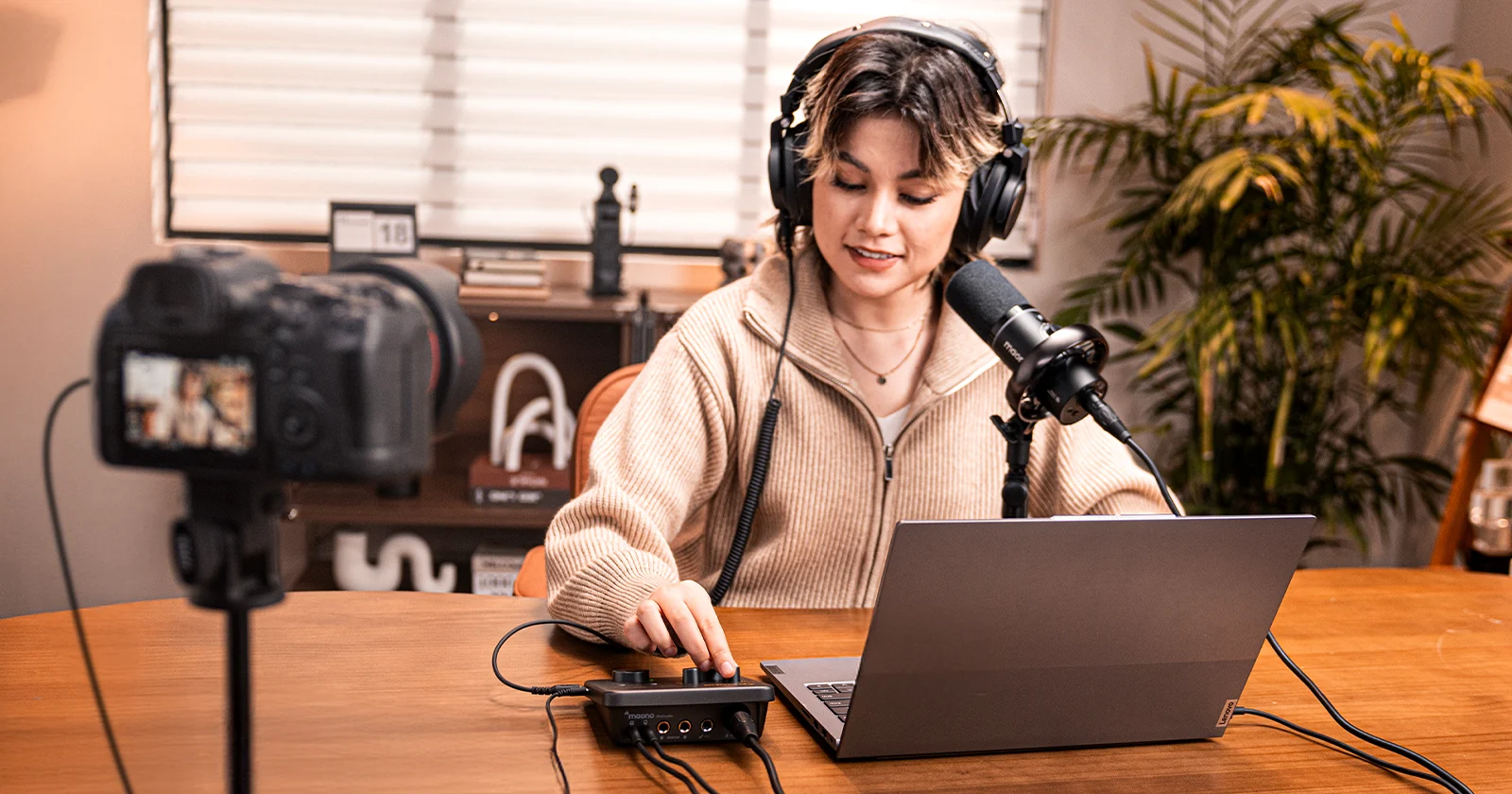 SSL 1 vs Maono P Series: Best Budget Interfaces for Home Recording