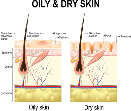 How Your Skin Barrier Changes With the Seasons—And What to Do About It