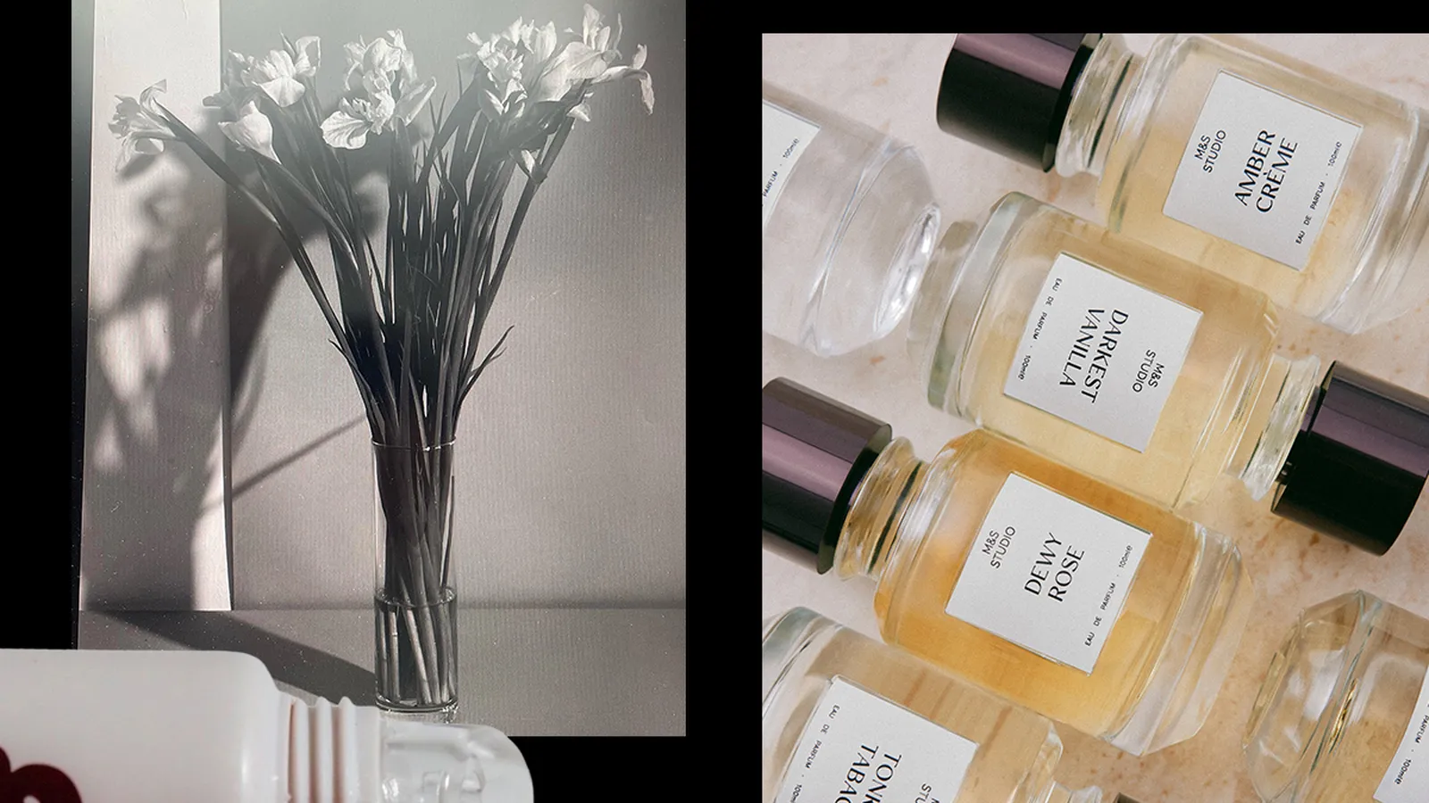 8 Emerging Beauty Brands Redefining Skincare and Scent