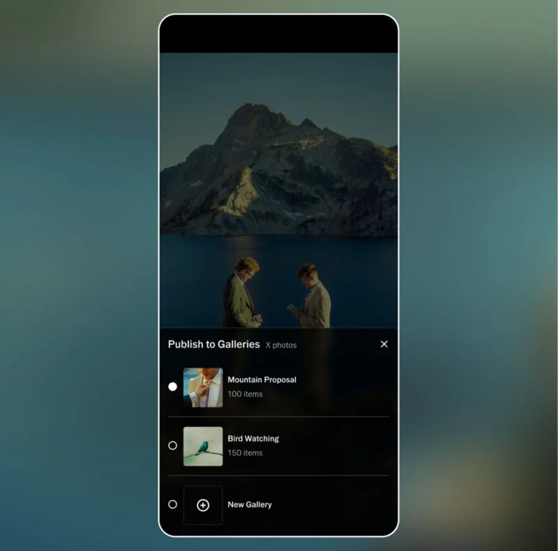 VSCO Studio Pro Brings Desktop-Style Batch Editing to Mobile