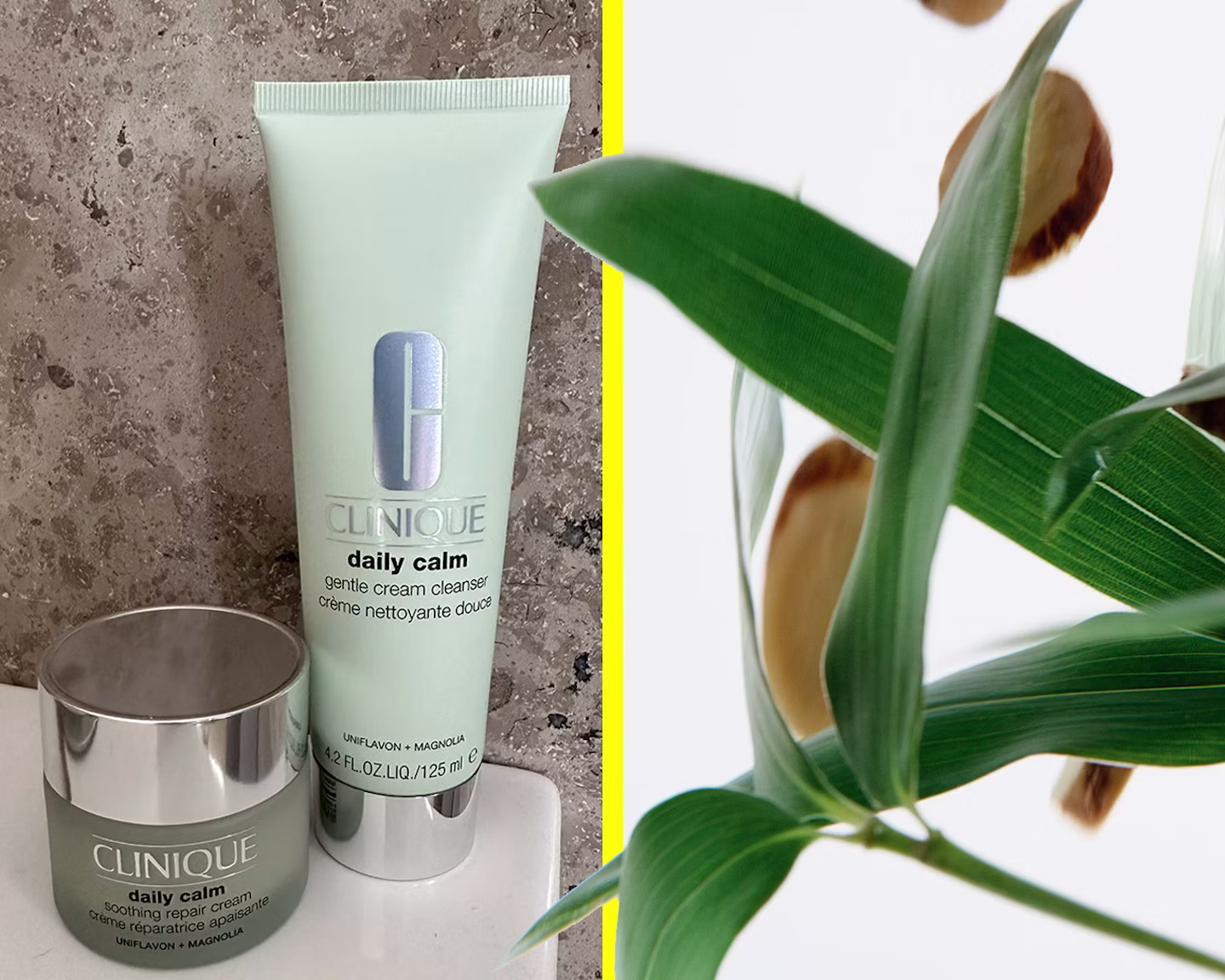 Retinol Making Your Skin Angry? Gentle Anti-Aging Alternatives That Still Deliver Results