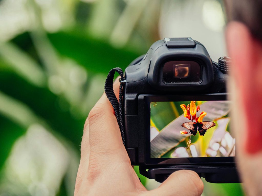 From Auto Mode to Creative Control: 18 Camera Settings That Transform Your Photography