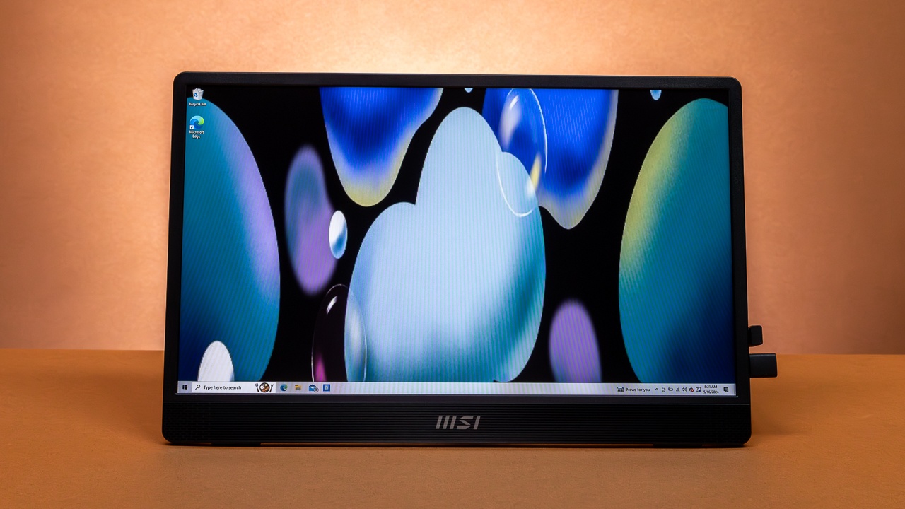 Best Budget Monitors Under loading=
