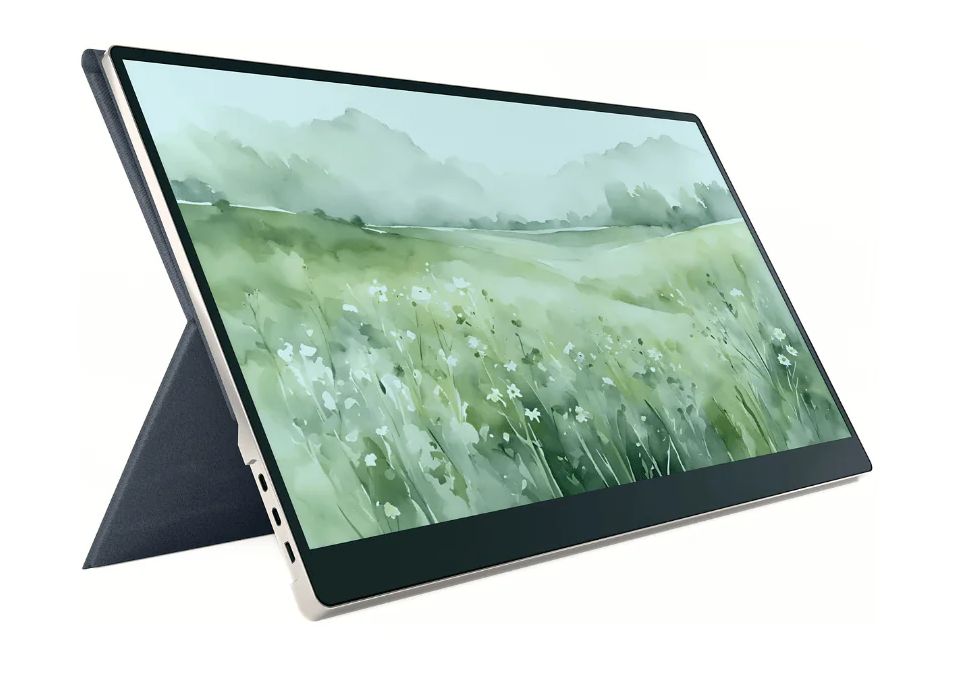 Beyond Gaming: Specialized Portable Monitors for Work, Reading, and Play