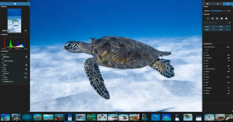 Hardware vs. AI: Two Faster Paths to Photo Management