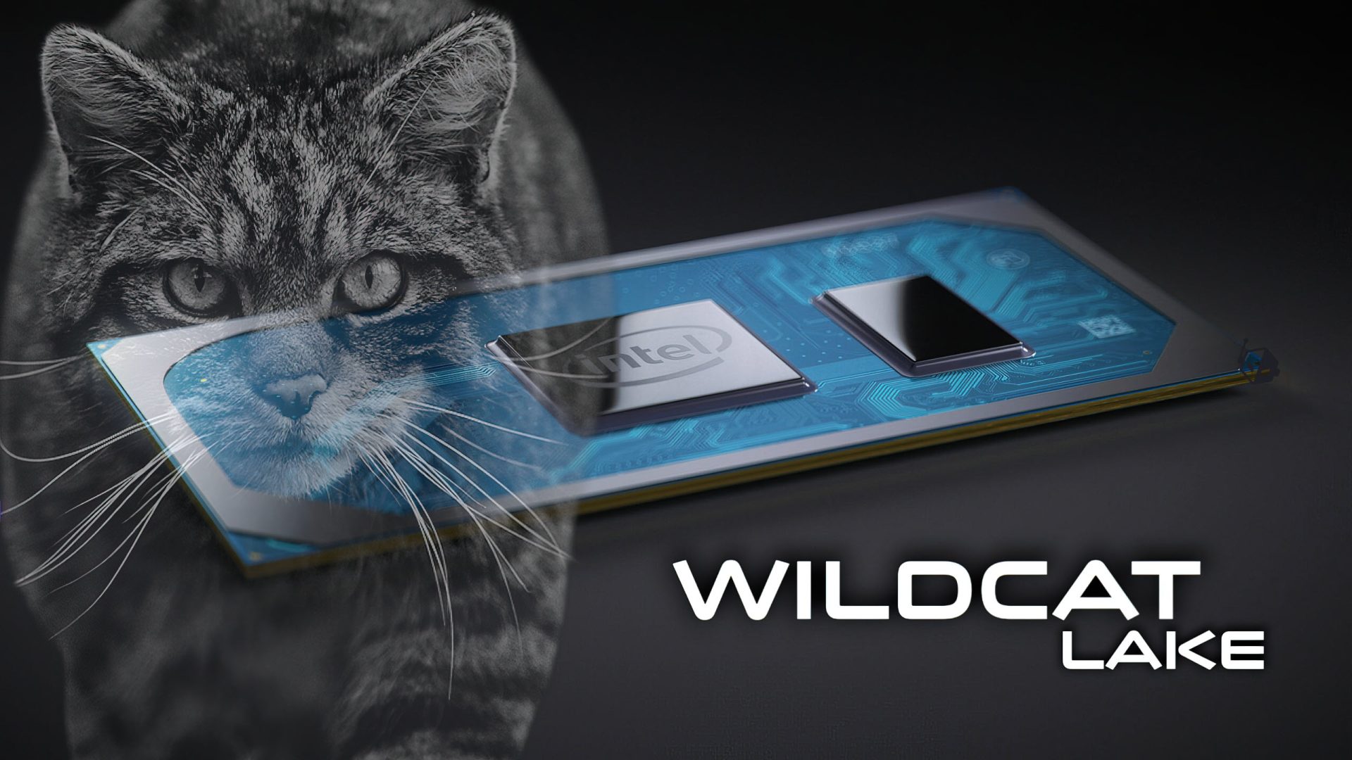 Why MacBook Gaming Support Lags Behind Windows Laptops
