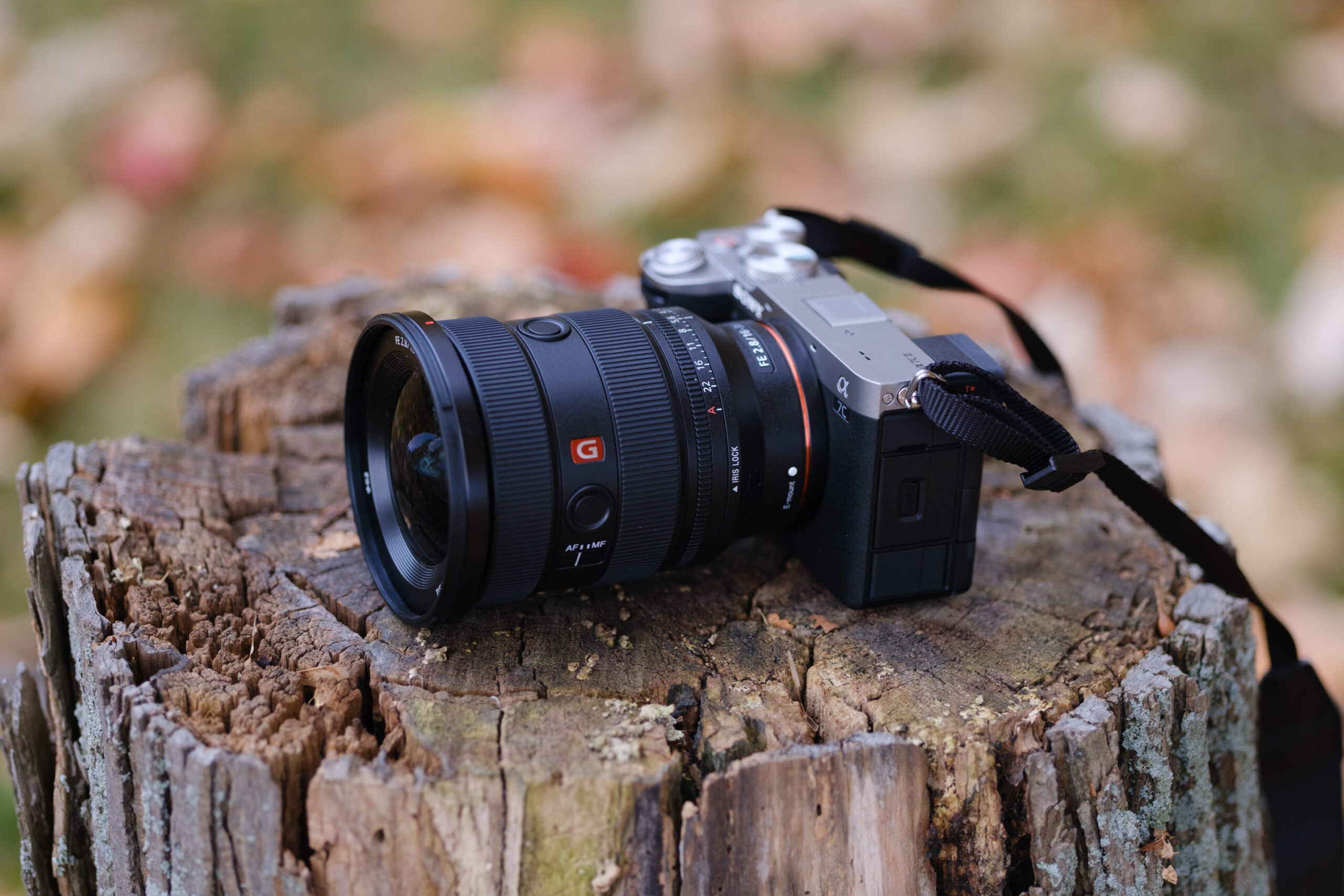 The Best Interchangeable Lens Cameras That Fit in Your Bag
