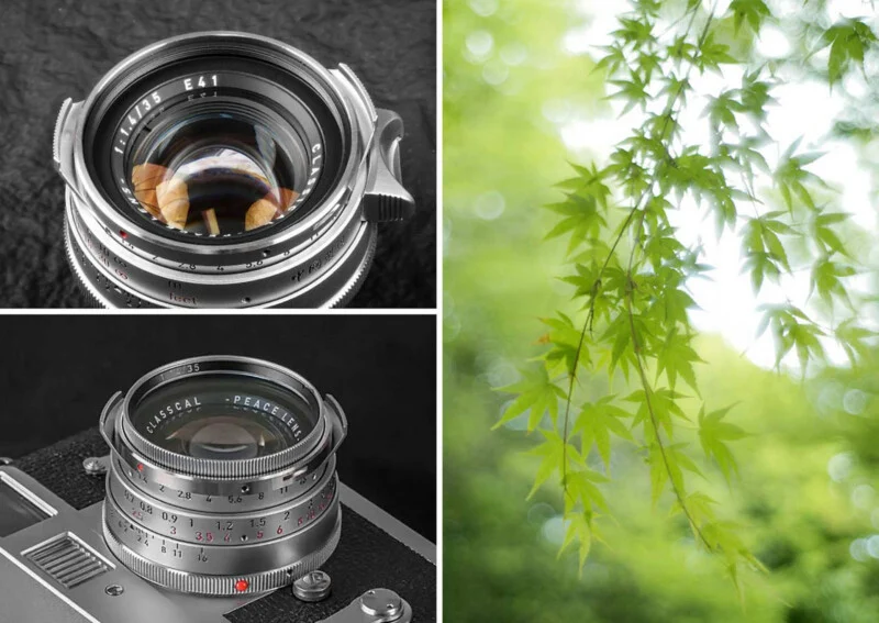 Three Budget-Friendly Specialty Primes That Challenge Premium Glass