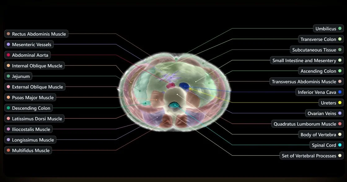 Midjourney’s Ultrasound Scanner Spa Promises Wellness, Delivers Questions