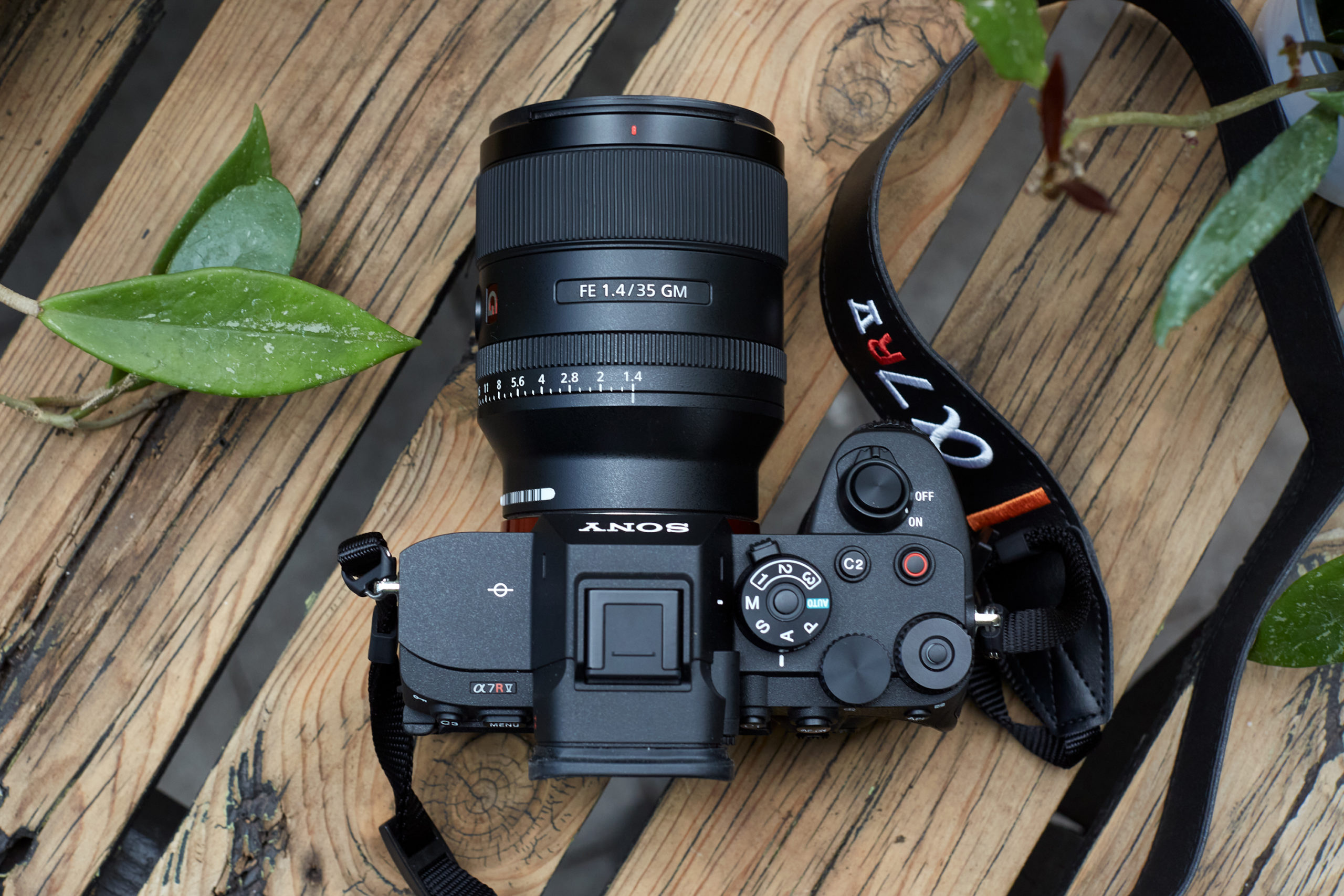 The Best Sony Camera for Landscape Photography