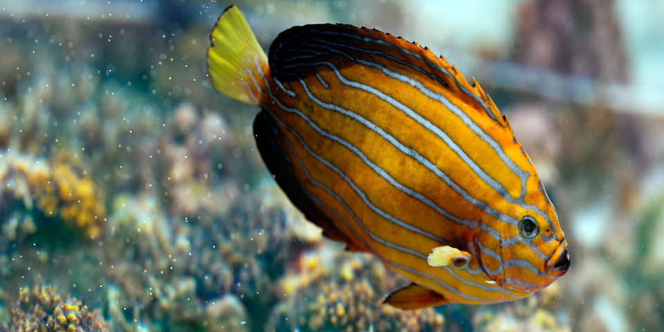 Three Big 3D Updates That Change How You Light, Render and Texture