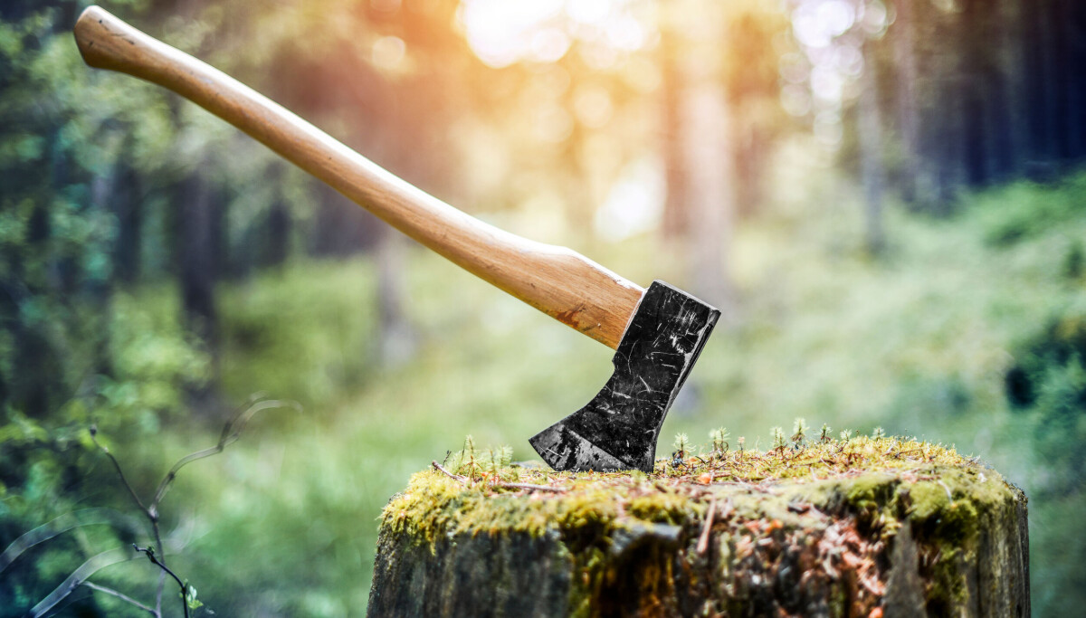 Why Notion Is Killing Its Email Client: The Rise of AI Inbox Agents