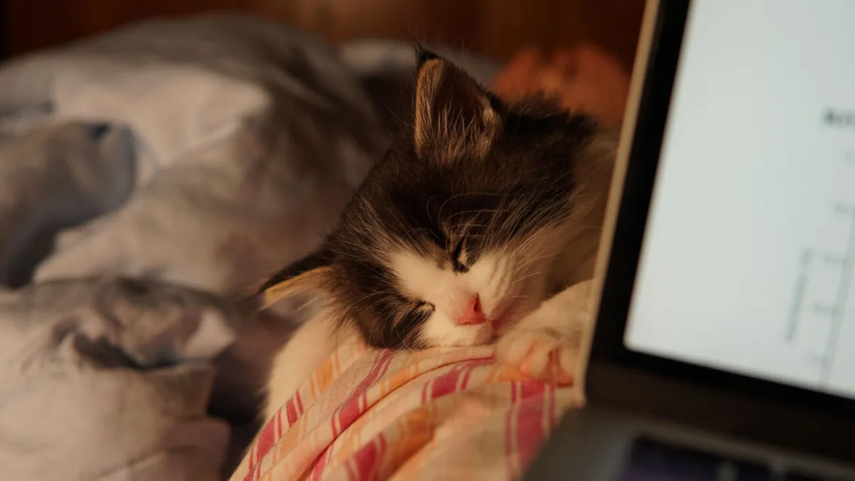 Hidden Windows 11 Speed Boost and Hibernate: A Practical Guide