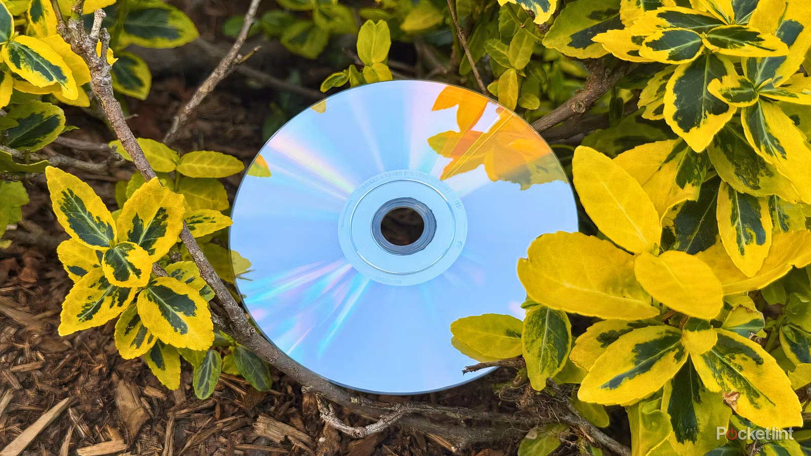 Why 4K UHD Blu-ray Beats Vinyl and CD for Hi‑Fi Audio