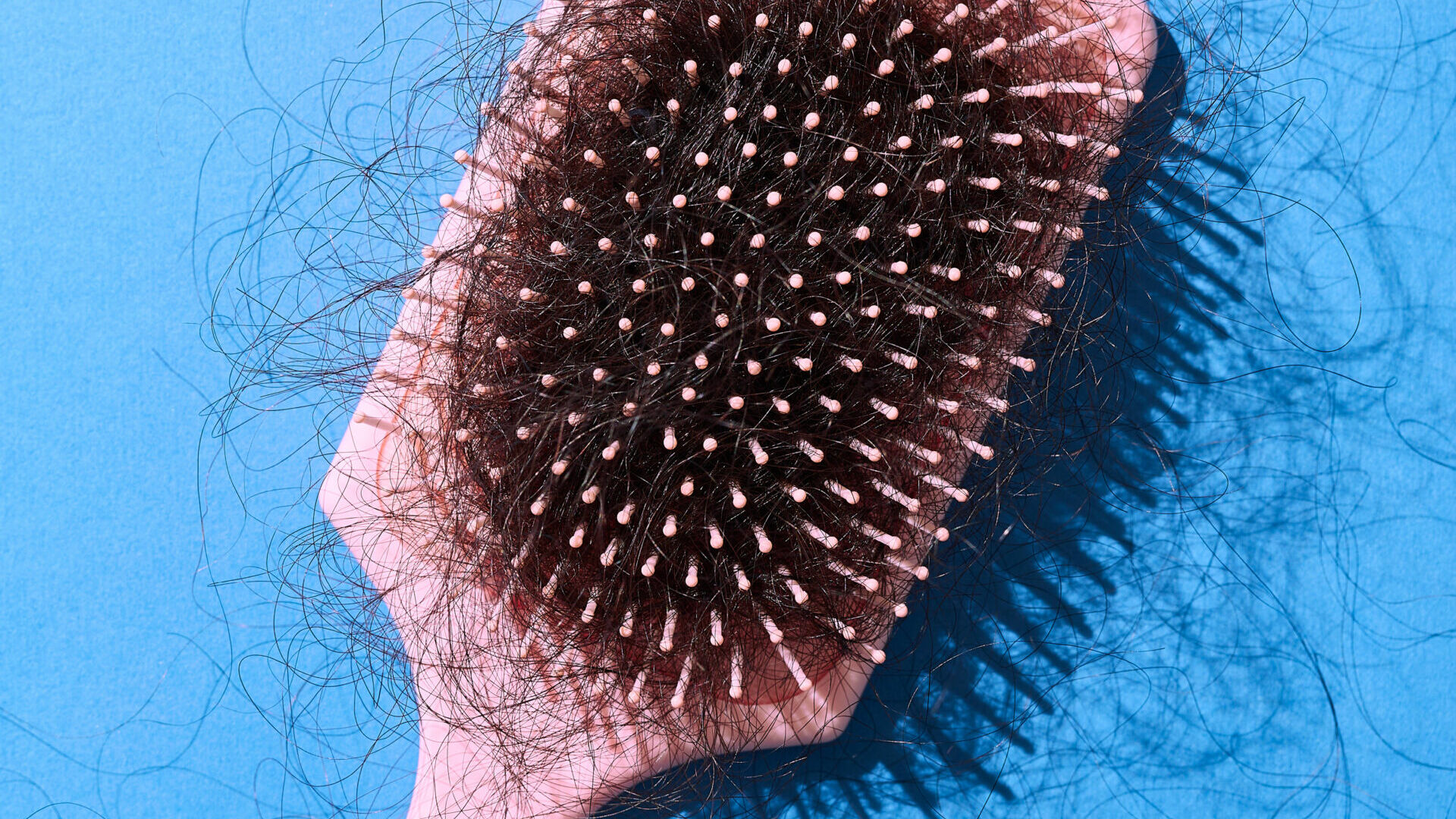 Stop Hair Shedding Before It Starts: 4 Expert-Backed Steps
