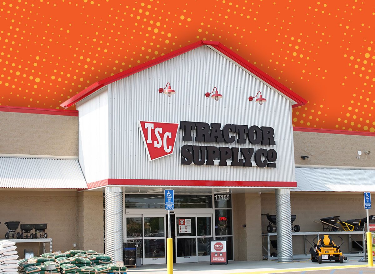 11 Best Workshop Tools Under $25 at Tractor Supply