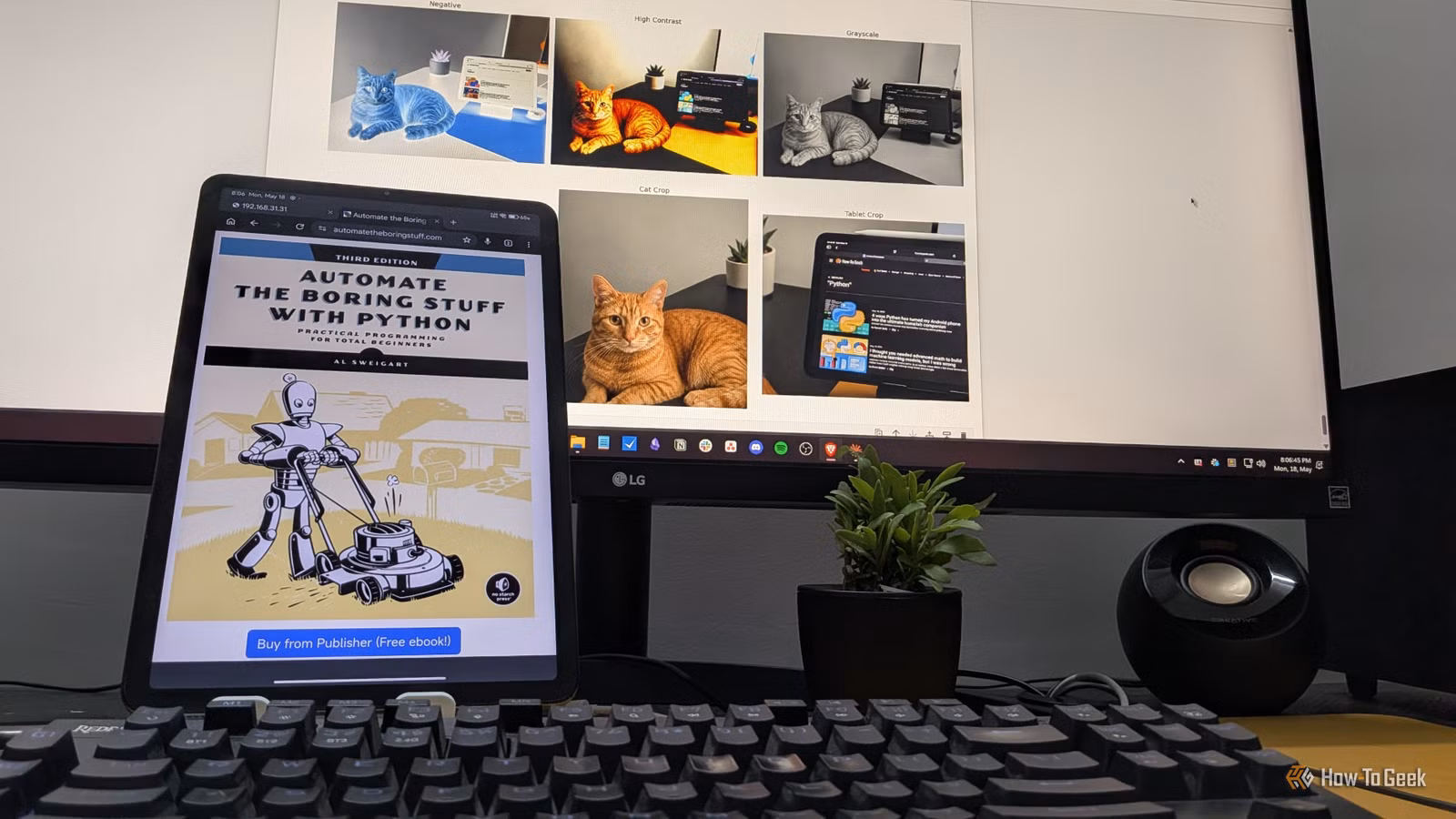 Free AI Photo Editing vs Photoshop: Which Do You Need?