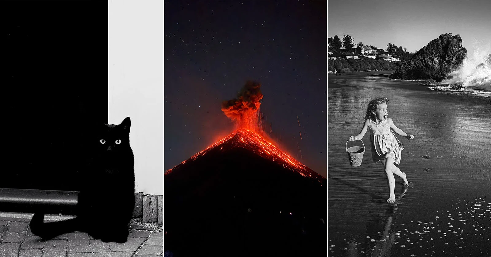 Award-Winning Photographers Prove the iPhone Is a Creative Powerhouse