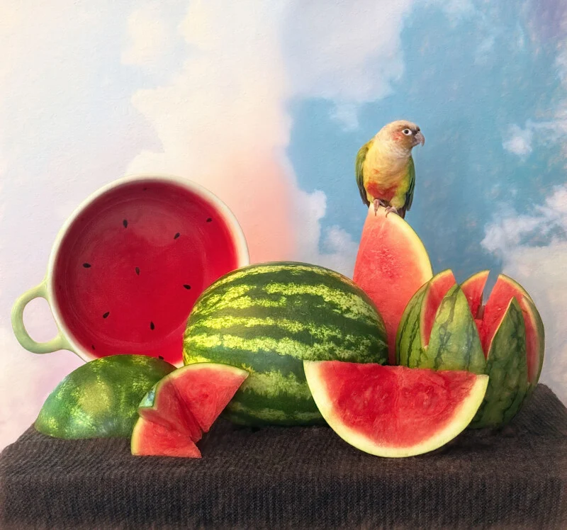 Award-Winning Photographers Prove the iPhone Is a Creative Powerhouse