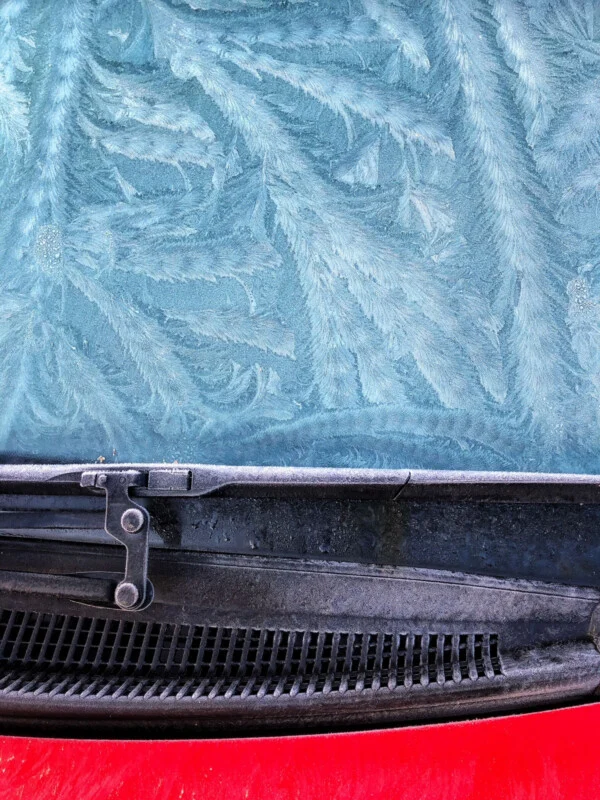 Award-Winning Photographers Prove Older iPhones Still Deliver Professional Results