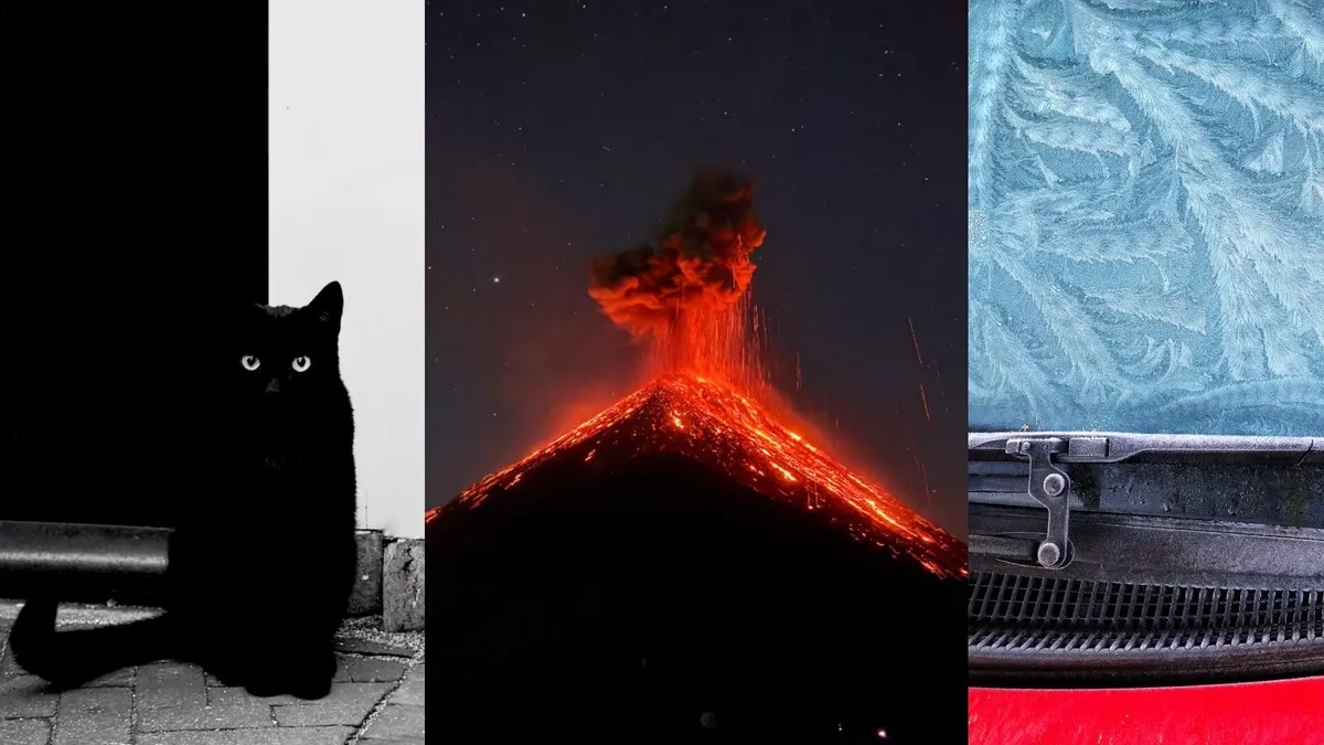 How Award-Winning Photographers Are Redefining What’s Possible With iPhone Cameras