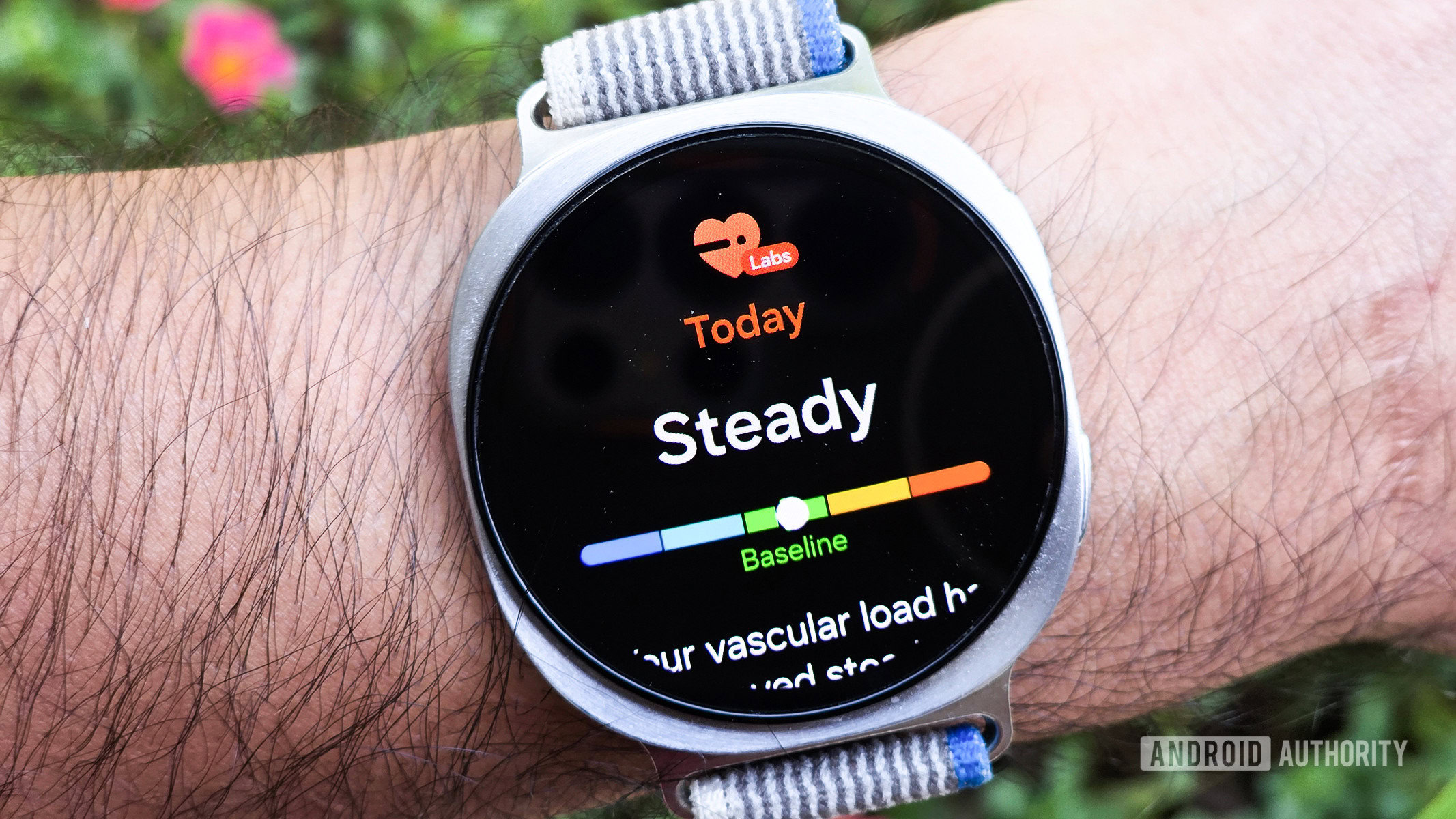 Samsung Drops Vascular Load on Galaxy Watch: What It Means for Your Health Data