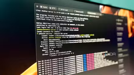 Stop Flying Blind: DNS Monitoring for Real Home Network Visibility