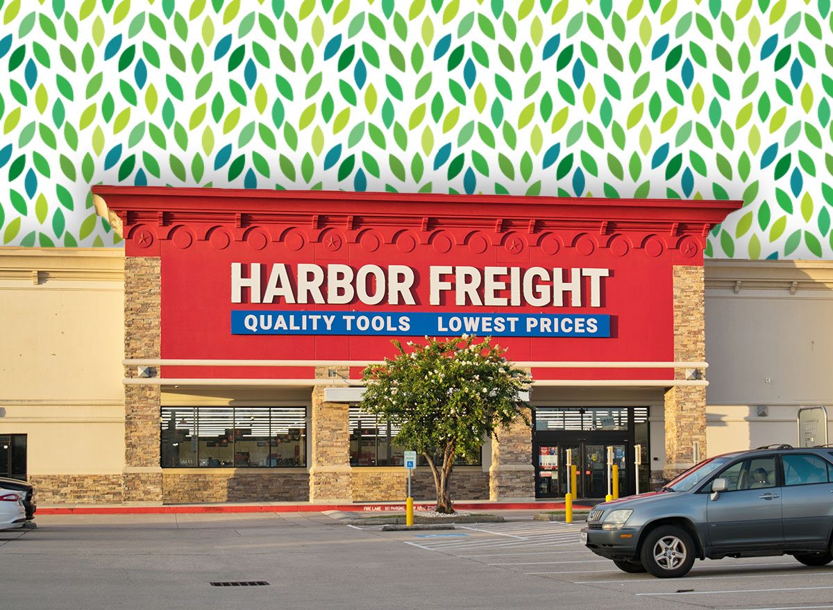 Best Harbor Freight Tools Under $20 for Yard, Car, and Garage