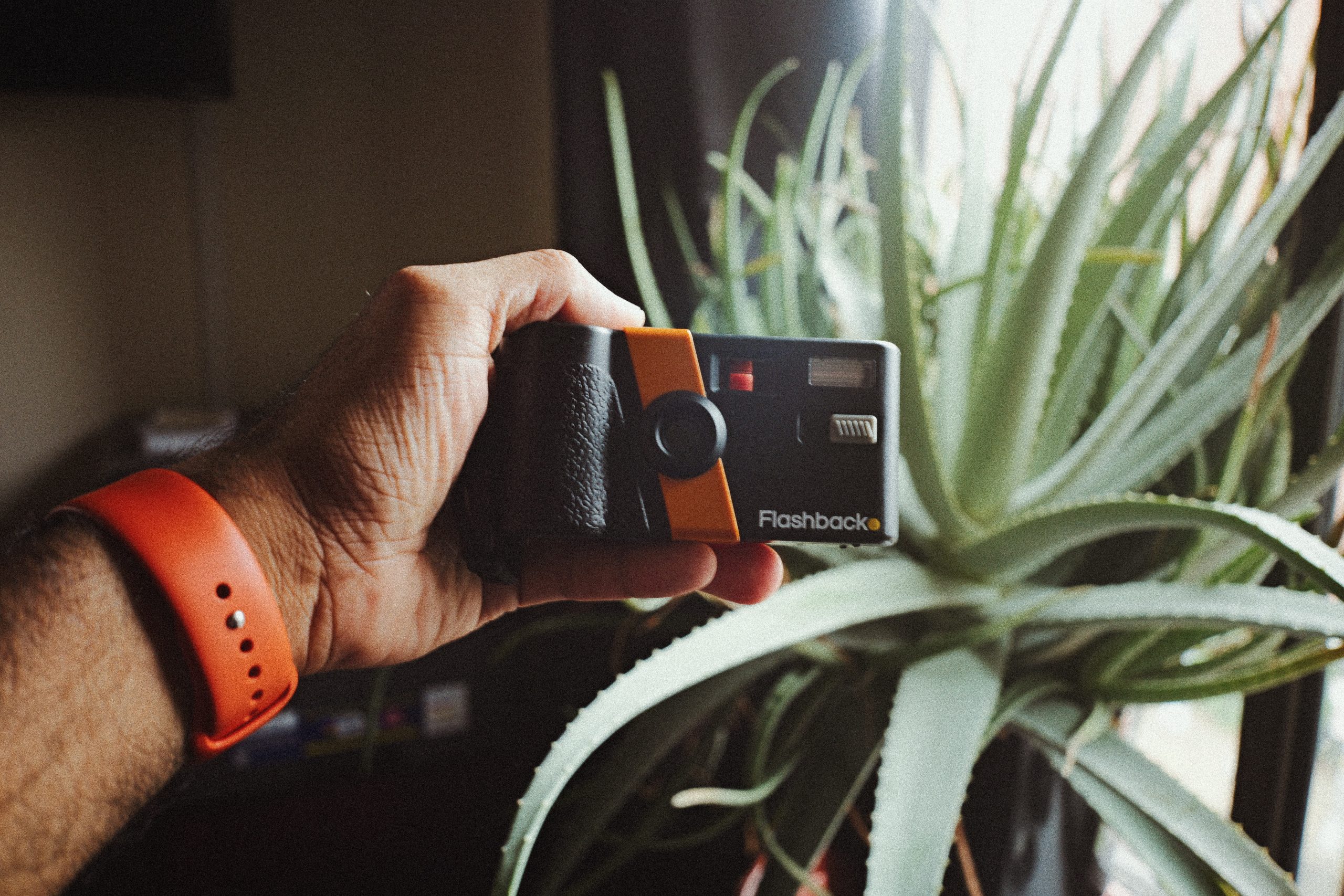Instant vs Digital Compacts: Nostalgia With Modern Convenience