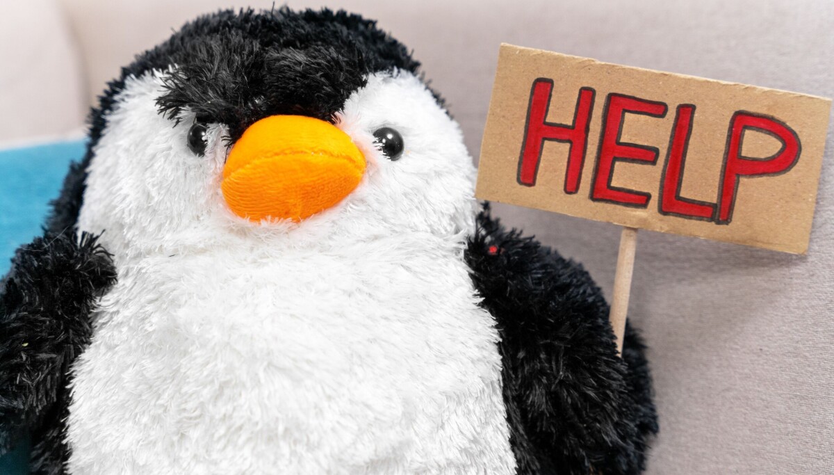 Five CLI Tools Developers Use to Skip the GUI