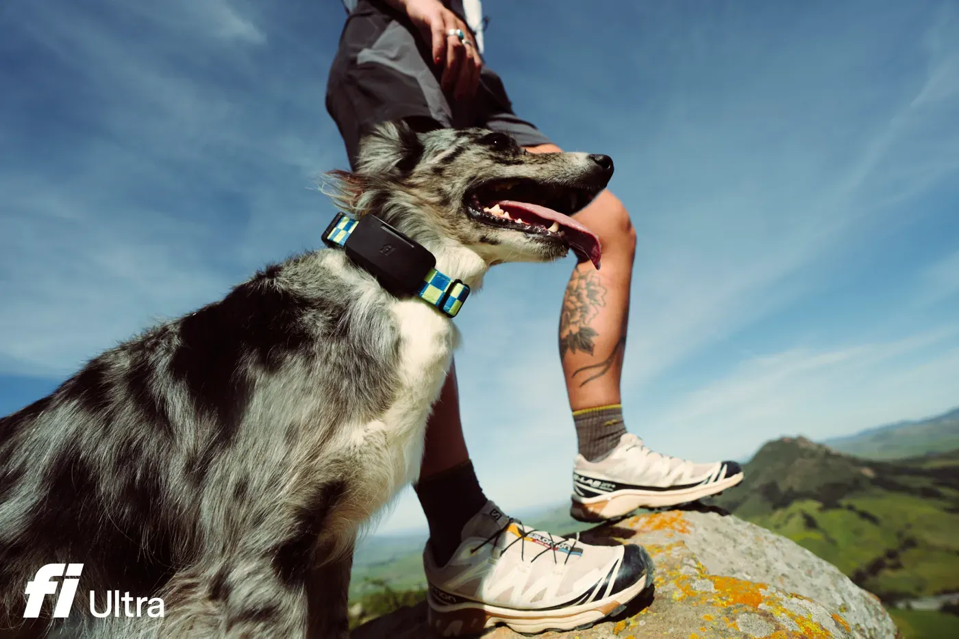 Fi Ultra Makes Satellite Dog Tracking a Real Option for Off-Grid Owners