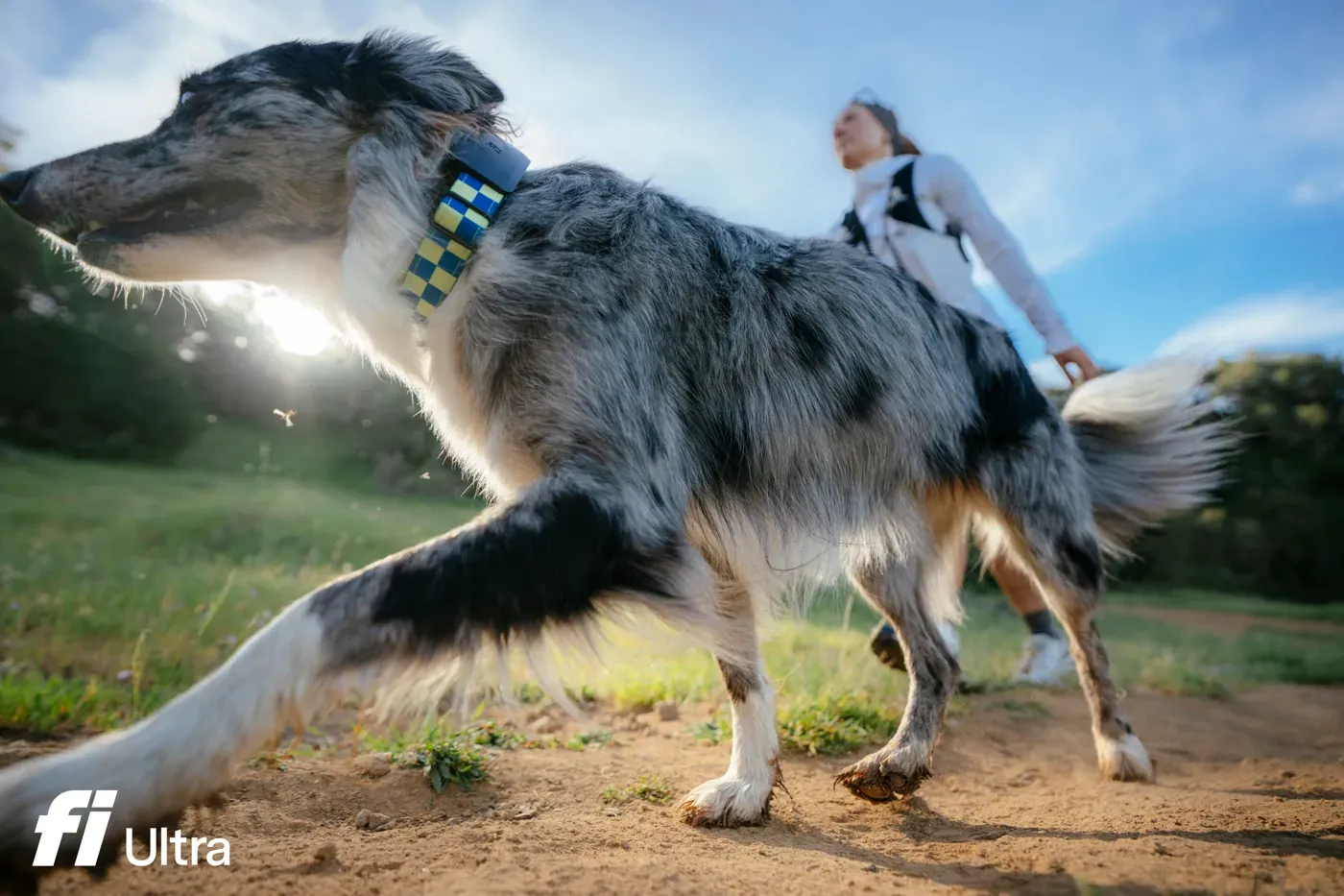Fi Ultra Satellite Dog Tracker Finally Goes Off-Grid