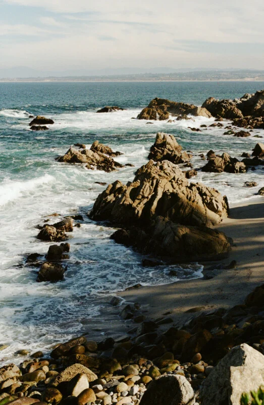 Film Photography Market Proves It’s Built to Last