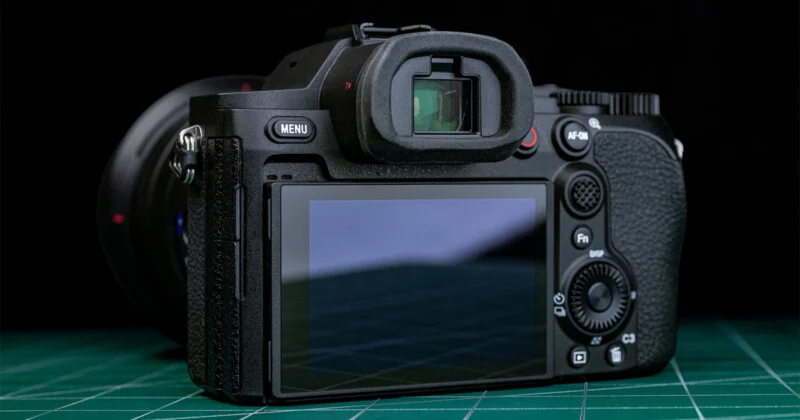 Sony RX10 V Bridge Camera Review: One Lens for Travel and Wildlife