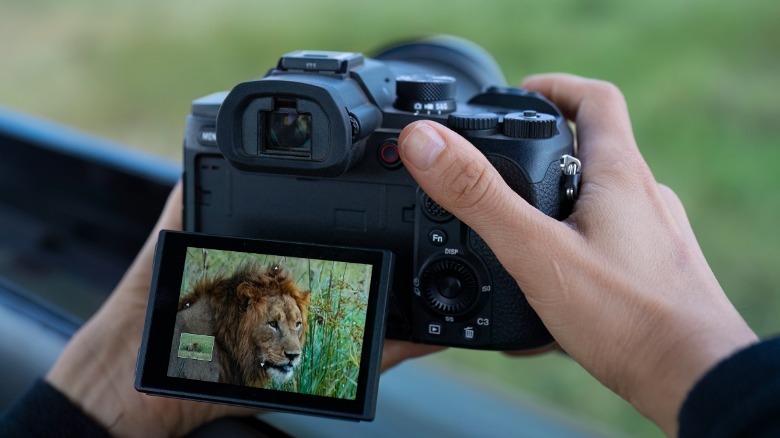 Sony RX10 V: Does a $2,300 Superzoom Earn Its Place?