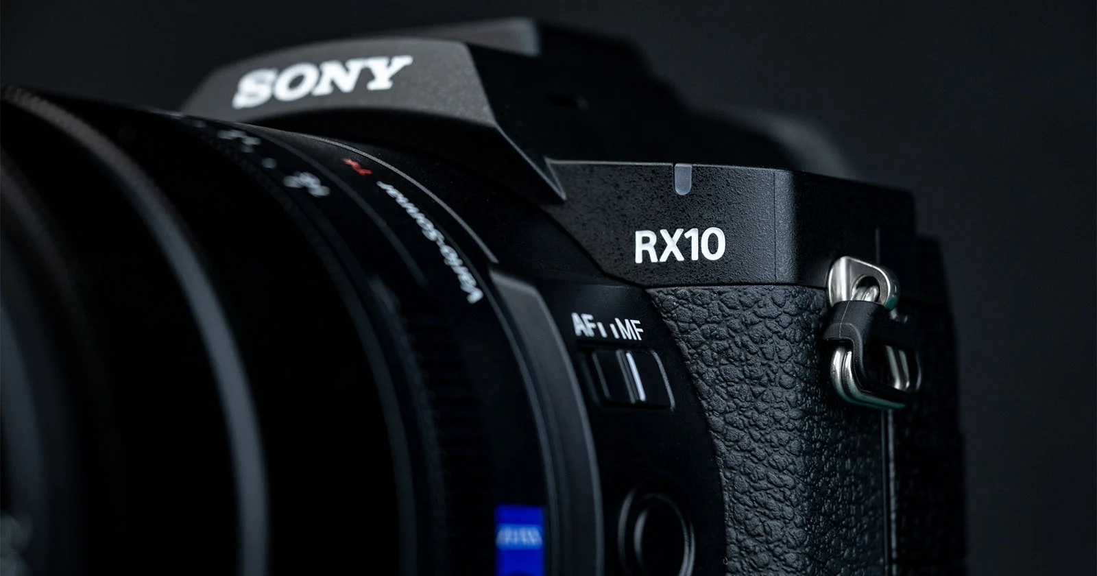 Sony RX10 V Bridge Camera Review: One Lens for Travel and Wildlife