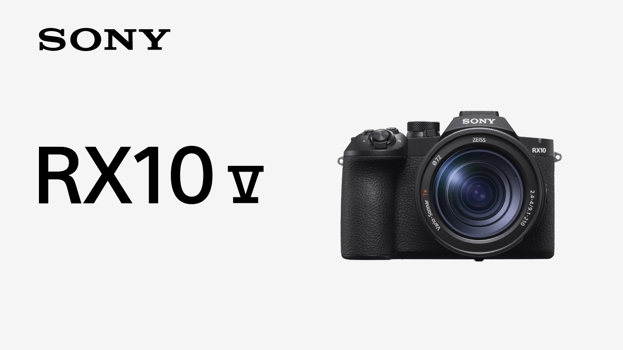 Sony RX10 V Bridge Camera Review: One Lens for Travel and Wildlife