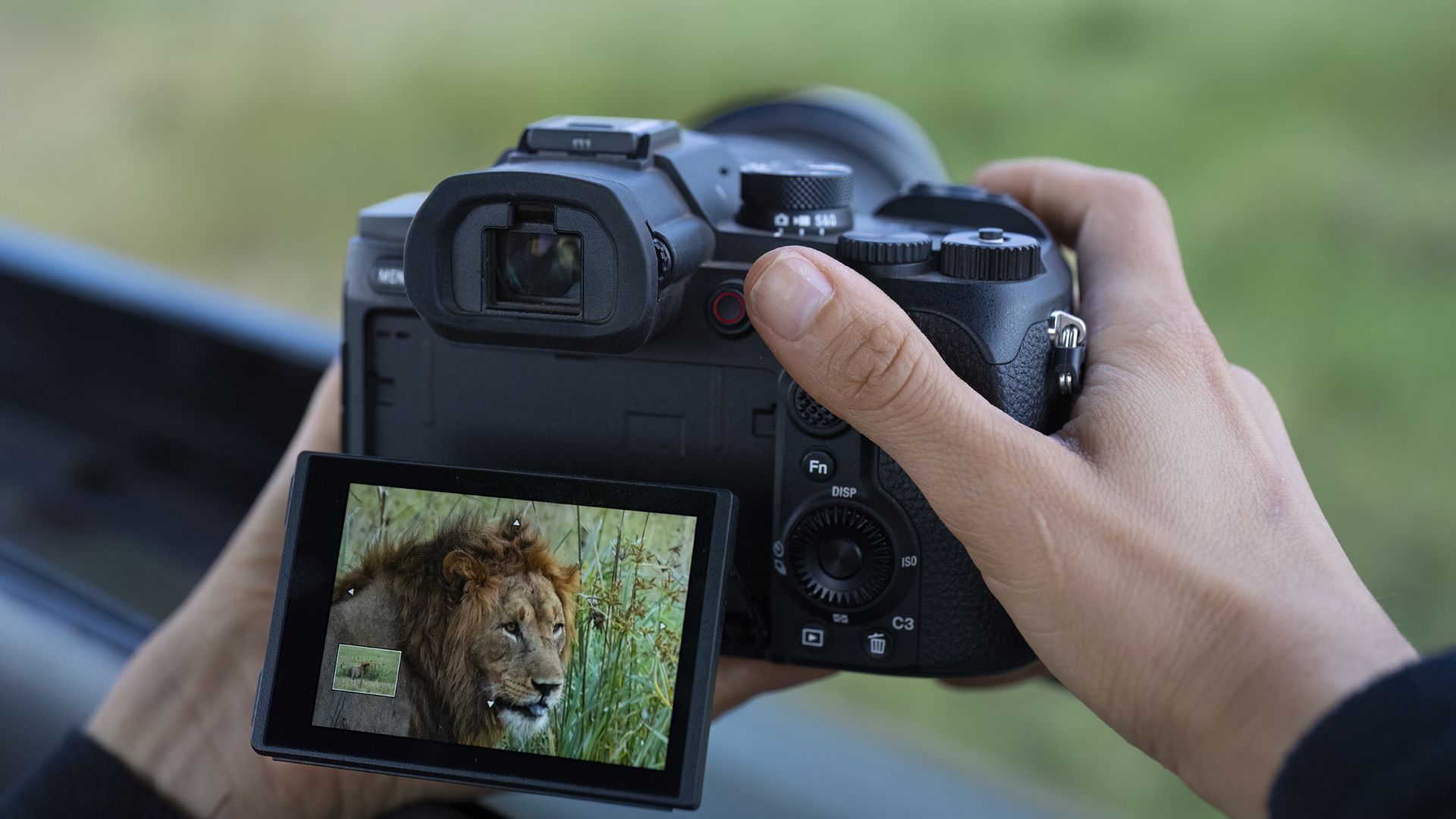 Sony RX10 V Bridge Camera Review: One Lens for Travel and Wildlife
