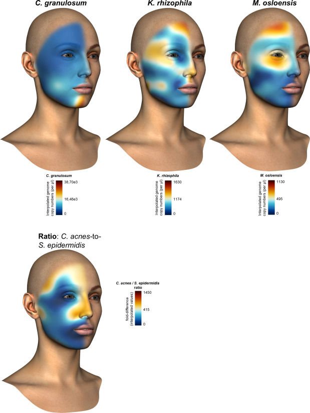 AI Skin Analysis Tools Are Redefining Personalized Skincare