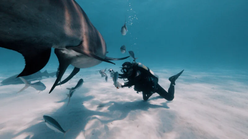 How Photographers Turn Visual Stories Into Conservation Wins
