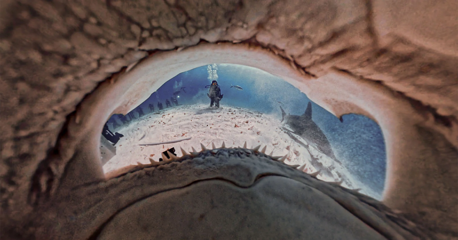 How Photographers Turn Visual Stories Into Conservation Wins