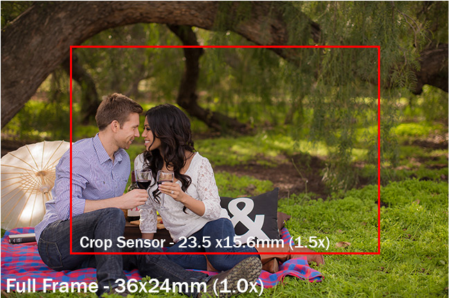 Crop Sensor vs Full Frame: Which Suits Your Photography Style